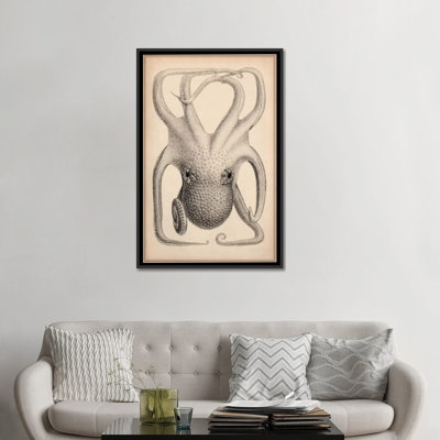 « cephalopoda of the hawaii îles » par stillman, impression sur toile
