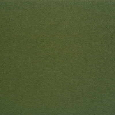 Gato Faux Leather Fabric