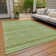 Machine Washable Indoor/Outdoor Claudian ACN1625 Cactus Rug
