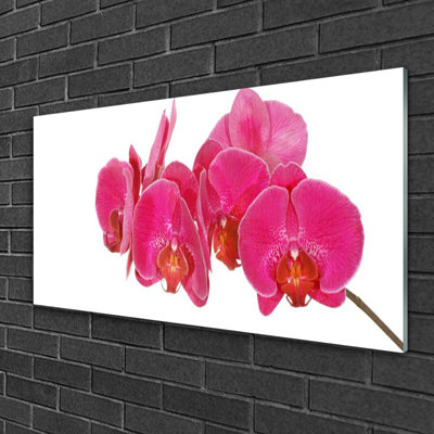 Glass Print Wall Art 100X50cm Image Printed On Glass Decorative Wall Picture Behind Toughened / Tempered Safety Real Glass For Kitchen & Living Room Theme: Flowers Floral