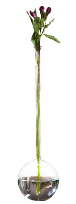 Mandujano Glass Floor Vase
