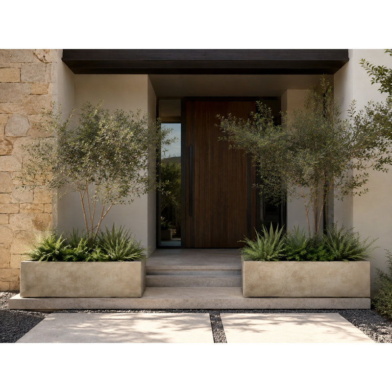 Concrete Planter