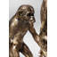 Figure evolution