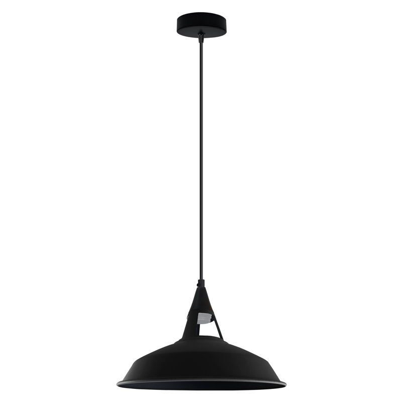 1 - Light Single Pendant, Yes, Black