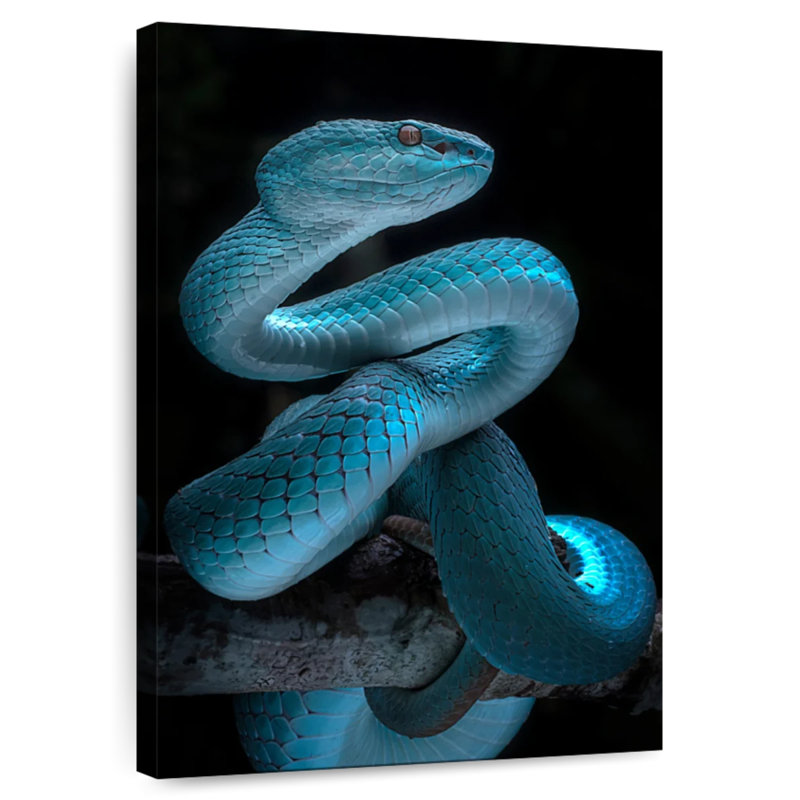 Brampt Glowing Blue Snake, 48" H x 32" W