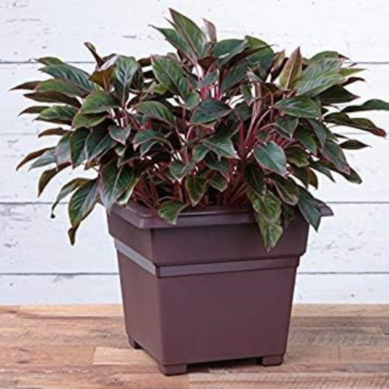 Pot Planter, White, 15'' H x 18'' W x 18'' D