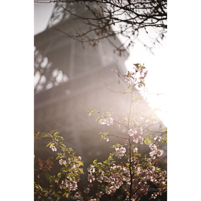 Tour Eiffel au printemps, H 18 po x l 12 po, Non, Cadre flottant doré