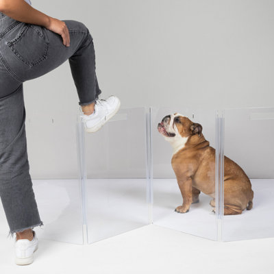 Low Zig Zag Wall Mounted Clear Pet Gate