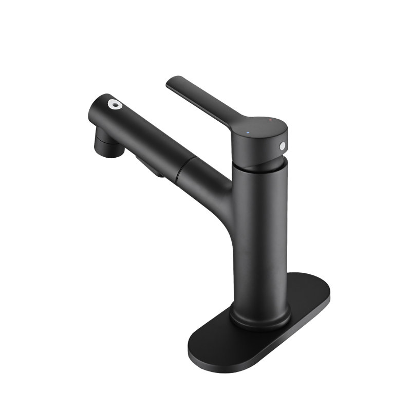 Single Handle Matte Black Bathroom Faucet With Pull-Out Spray Function And Overflow Drain, Trendsetting Style Basin Deck Plate, Black, Sleek Look