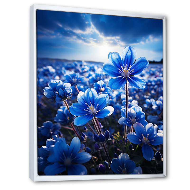 Bluebonnets Flower Blissful I - impression, H 40 po x l 30 po x P 1,5 po, Cadre flottant blanc