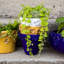 Cache-pot rustique moyen-127376009-69215987