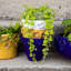 Rustic Garden Cachepot-69215986-127376009