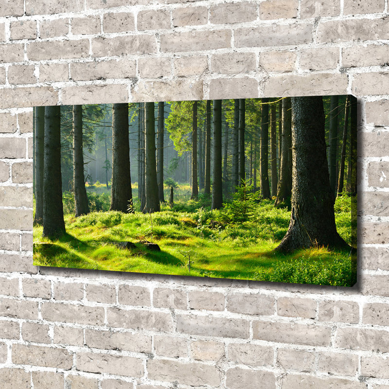 Spruce Forest - No Frame Print on Canvas