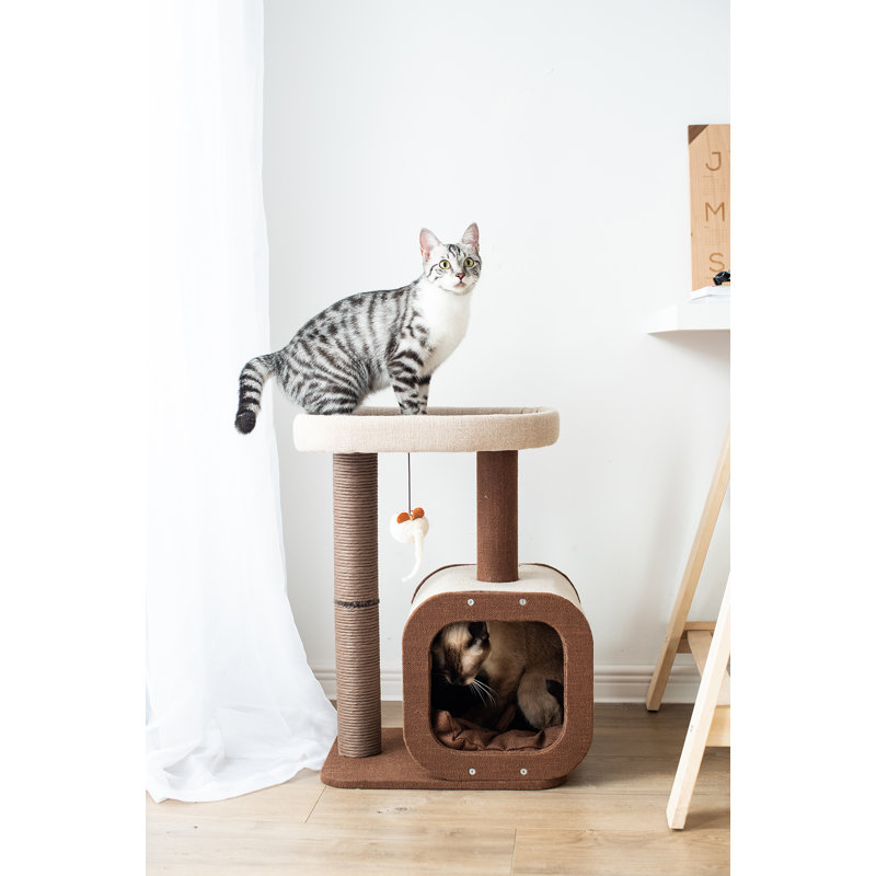 Arbre à chat 23 po avec maison et poteau à griffes Catry