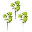 Viburnum vaporisateur 33 po -1985670666
