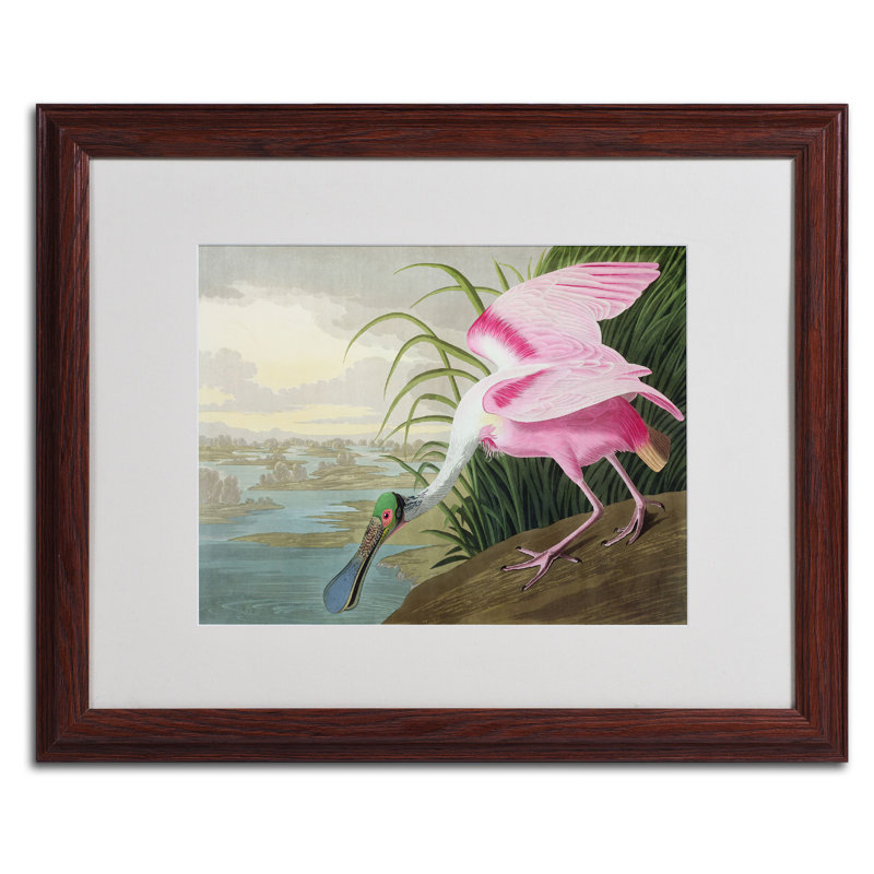 « rosee spoonbill » par john james audubon, reproduction d’art encadrée, H 16 po x l 20 po x P 0,5 po, Brun