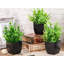 Ensemble de 6 mini-plantes artificielles pour plantes d'intérieur