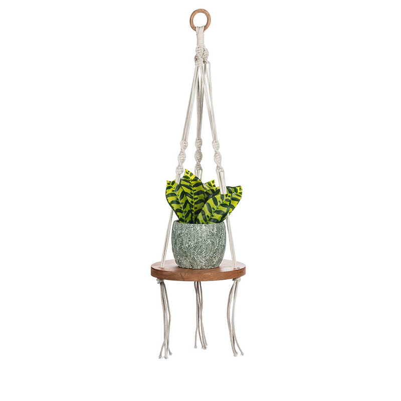 Adarian Wood Plant Hanger