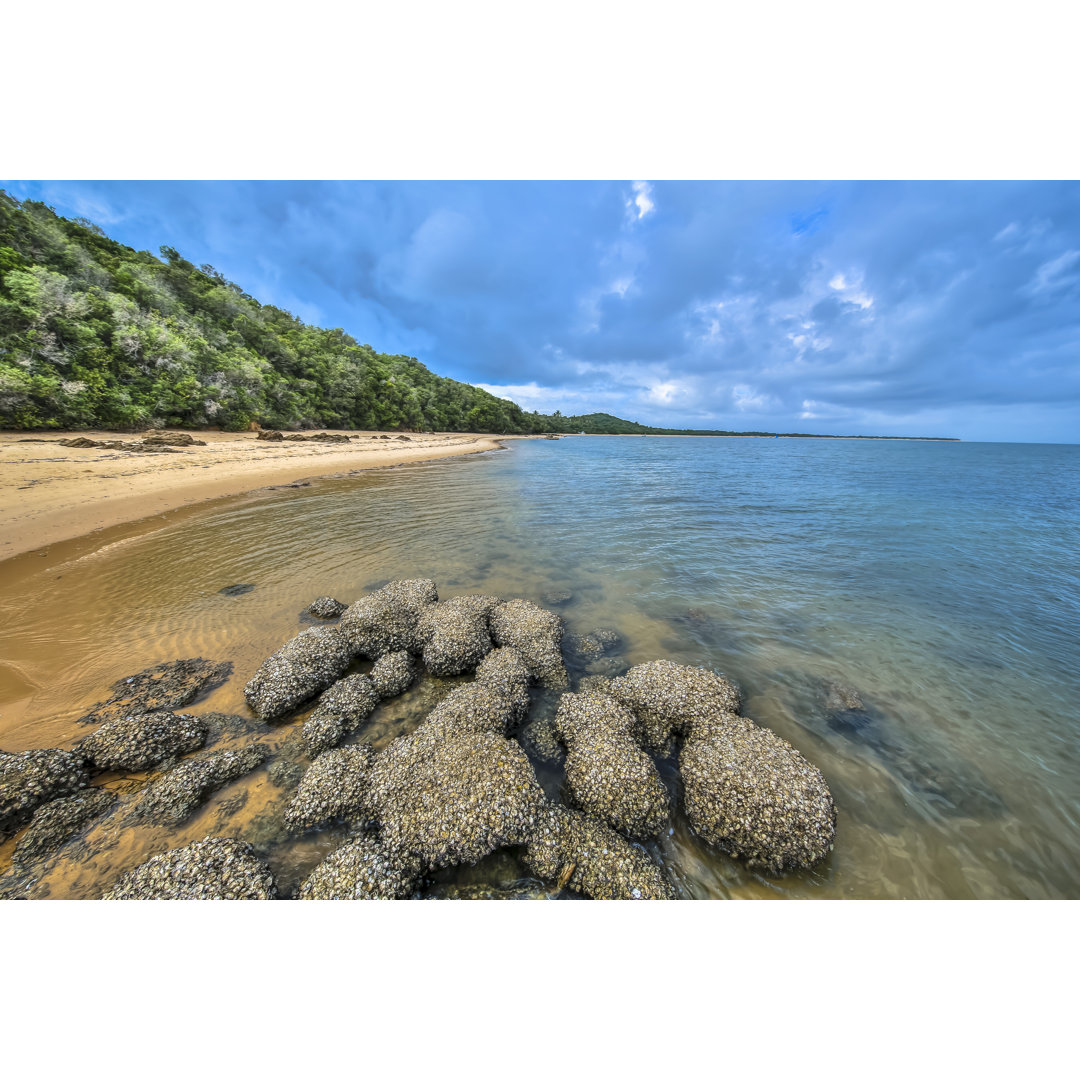 Inhaca Island von Wildacad - Leinwandbild