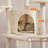 42'' Davalos Professional Cat Tree for Small and Medium-sized Cats-146506201