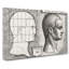 Profile Study Of A Mans Head by H.S. Beham - Wrapped Canvas Painting-55322753