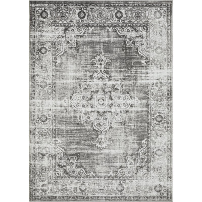 Raghdah Washable Oriental Indoor Rug