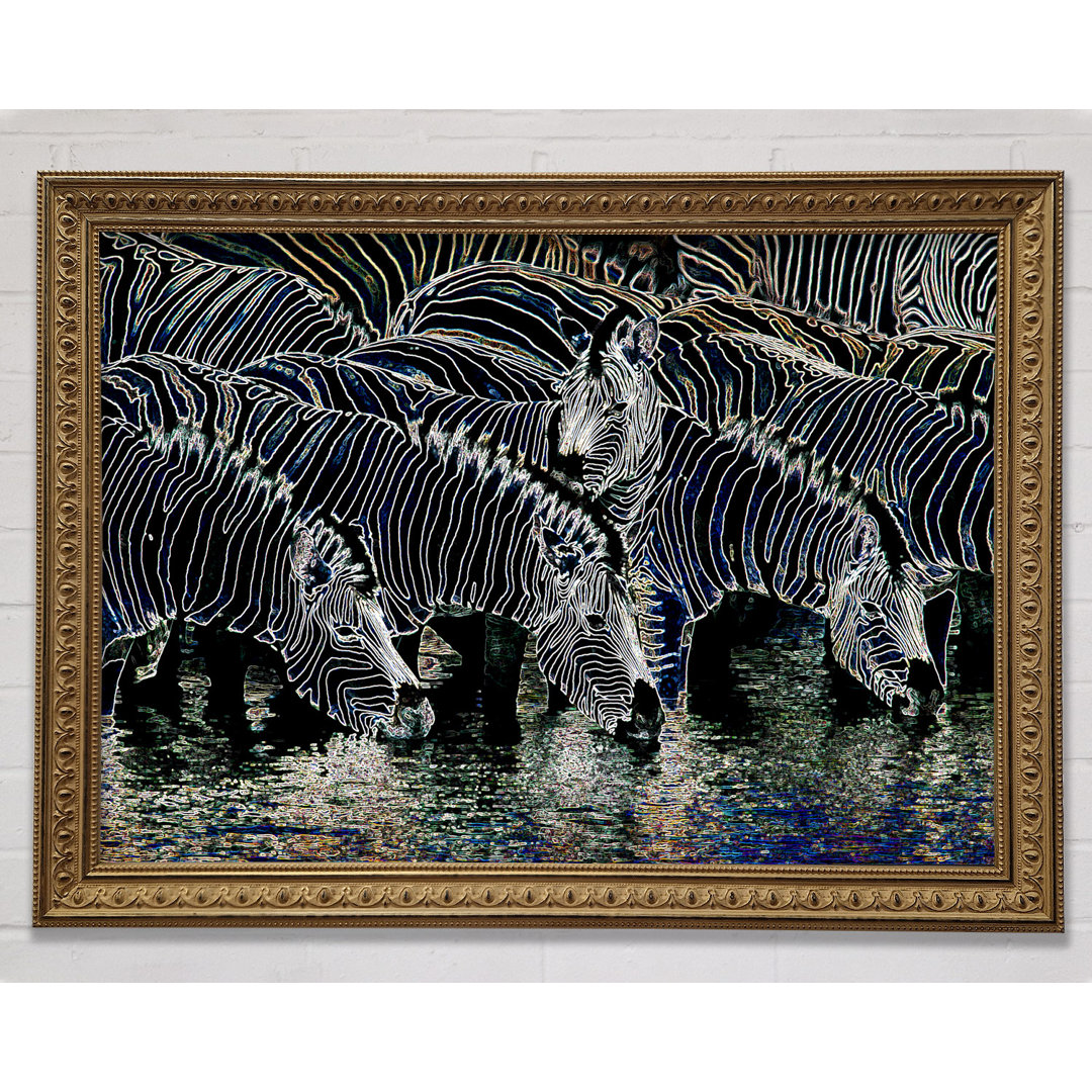 Zebra am Wasserloch Gerahmter Druck Wandkunst