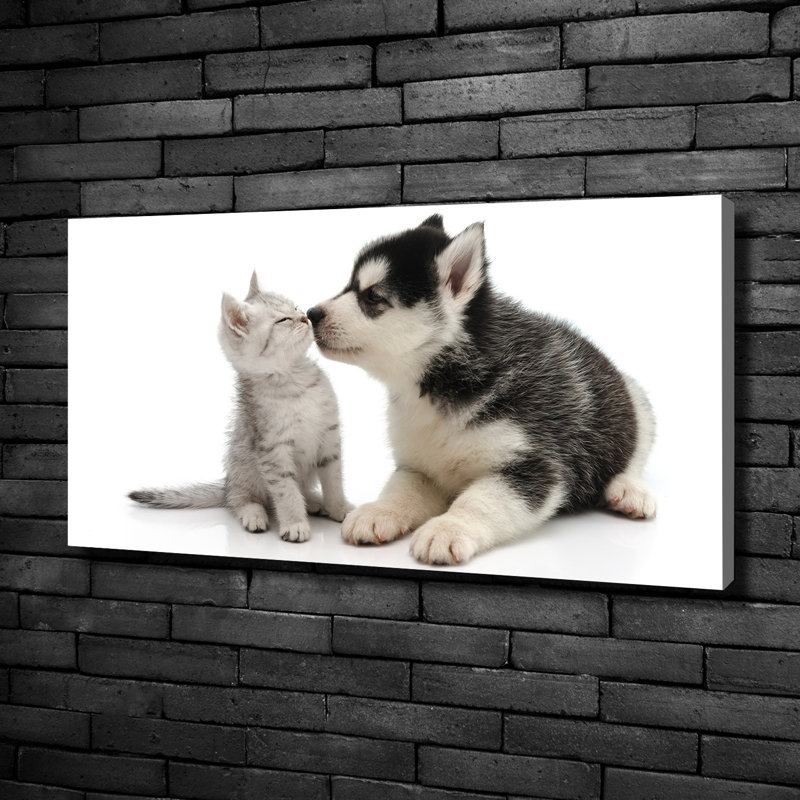 Dog And Cat - No Frame Print on Canvas