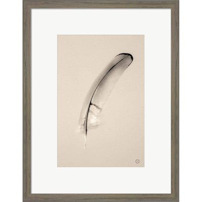 Floating Feathers III Sepia By Nathan Larson, Framed Wall Art -  Dakota Fields, 844FBA95392E4D28898741A39F4D1B25