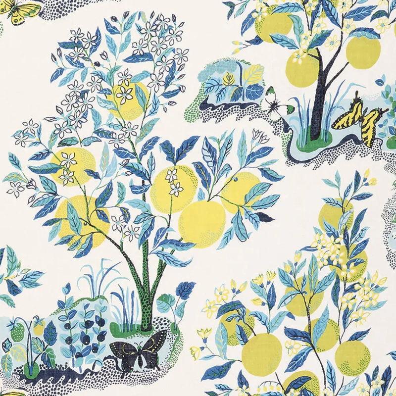 Tissu diaphane d'agrumes, Primaire