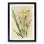 Magnolia Flowers Illustration Tab. 88 by Frederick Sander - Picture Frame Painting Print-55760347-55760352