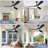 52'' Black Ceiling Fan with LED Lights with Remote App Control-88202007-88202008