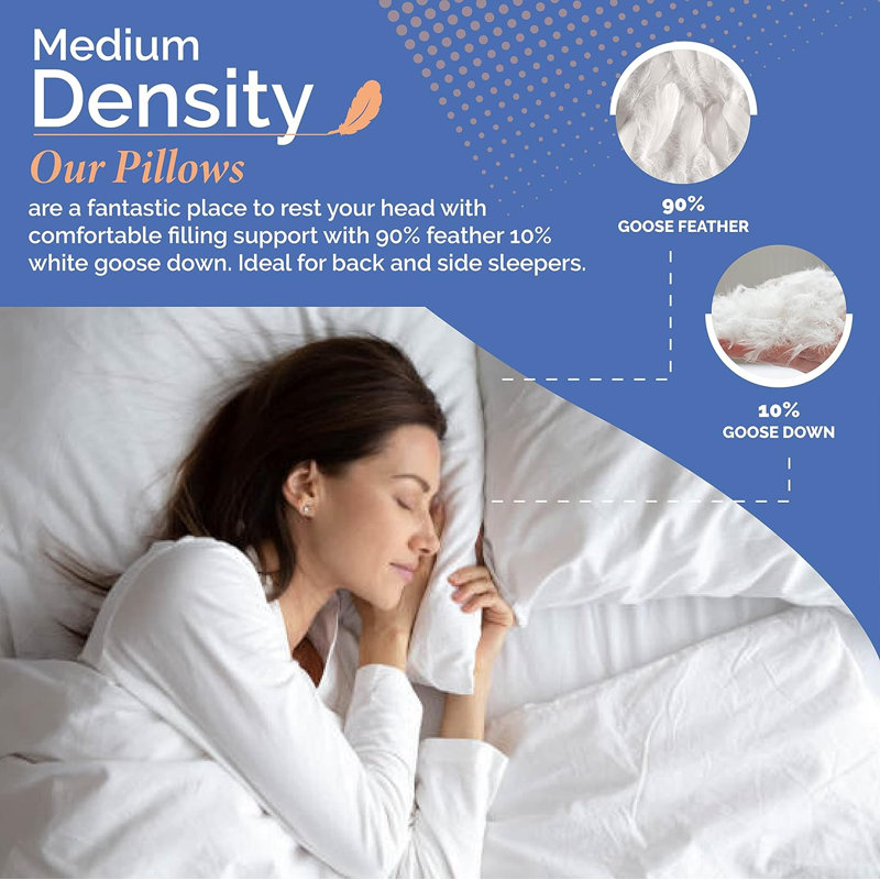 Feather and Down Pillow, 26" H x 20" W