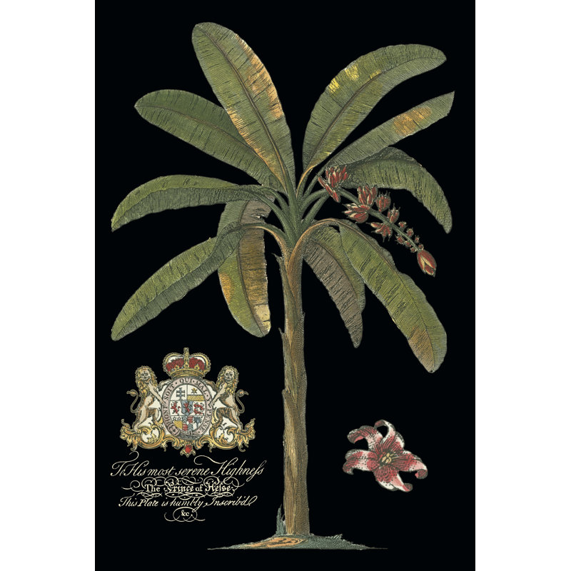 Palm On Black II - Wrapped Canvas Art Prints, 91cm H x 61cm W x 3.8cm D