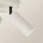 Taylor Matte  Tube Way Adjustable Ceiling Spotlight and Bulbs-1290400683-1290400685