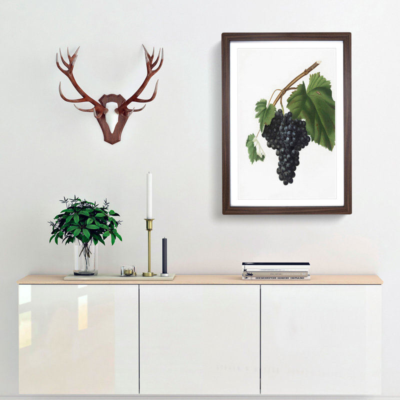 Black Canaiolo Grapes by Giorgio Gallesio - Picture Frame Art Print, Walnut Framed, 36cm H x 27cm W x 2cm D