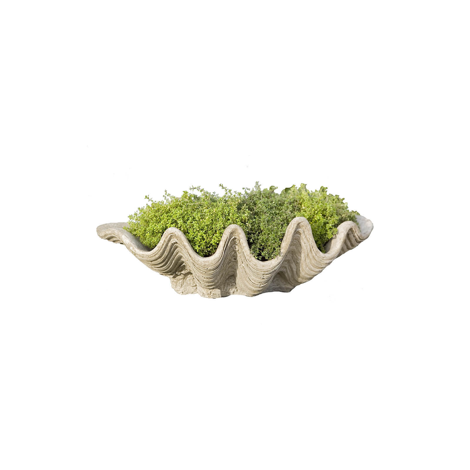 Handmade Pot Planter, Pietra Vecchia