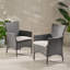 Ensemble de chaises d'extérieur en osier PE (ensemble de 2)-694847716