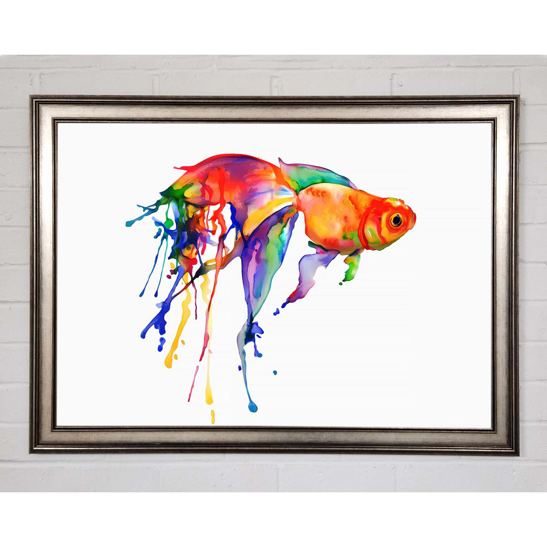 Regenbogen Goldfisch Gerahmter Druck Wandkunst