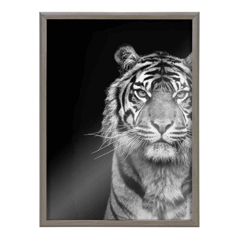 Tigre, animal minimaliste par le Creative Bunch Studio, art mural en verre encadré