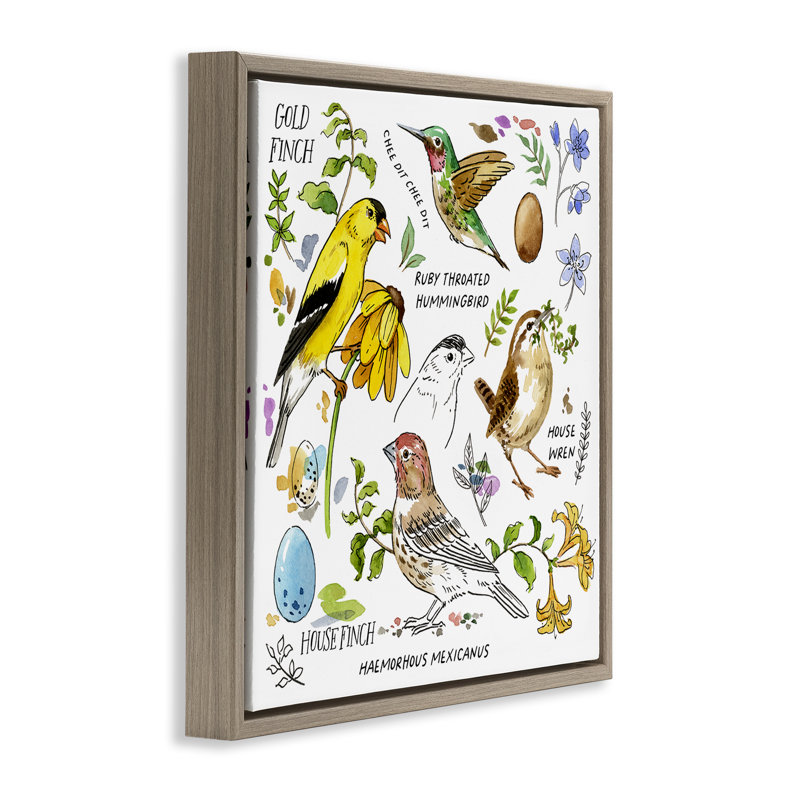 Art mural sur toile flottant encadré "local oiseaux" par Jane Maday, H 18 po x l 18 po, Cadre flottant orme Montalcino