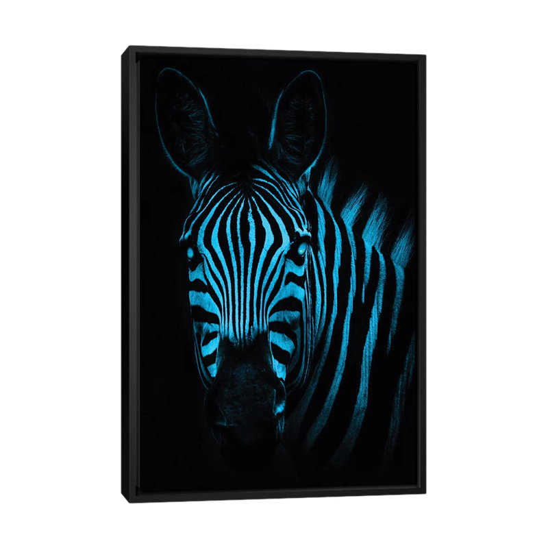Cool Zebra by Paul Haag - Print on Canvas, Black Framed, 66.04 cm H x 45.72 cm W