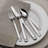 Fitz And Floyd  Everyday Bistro Band 20-Pc Flatware Set, Service For 4