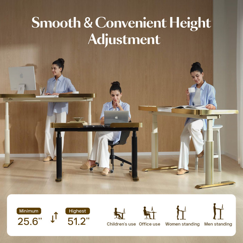 Electric Adjustable Height Standing Desk with Drawers and Memory Controller, Computer Home Office Desk, Black