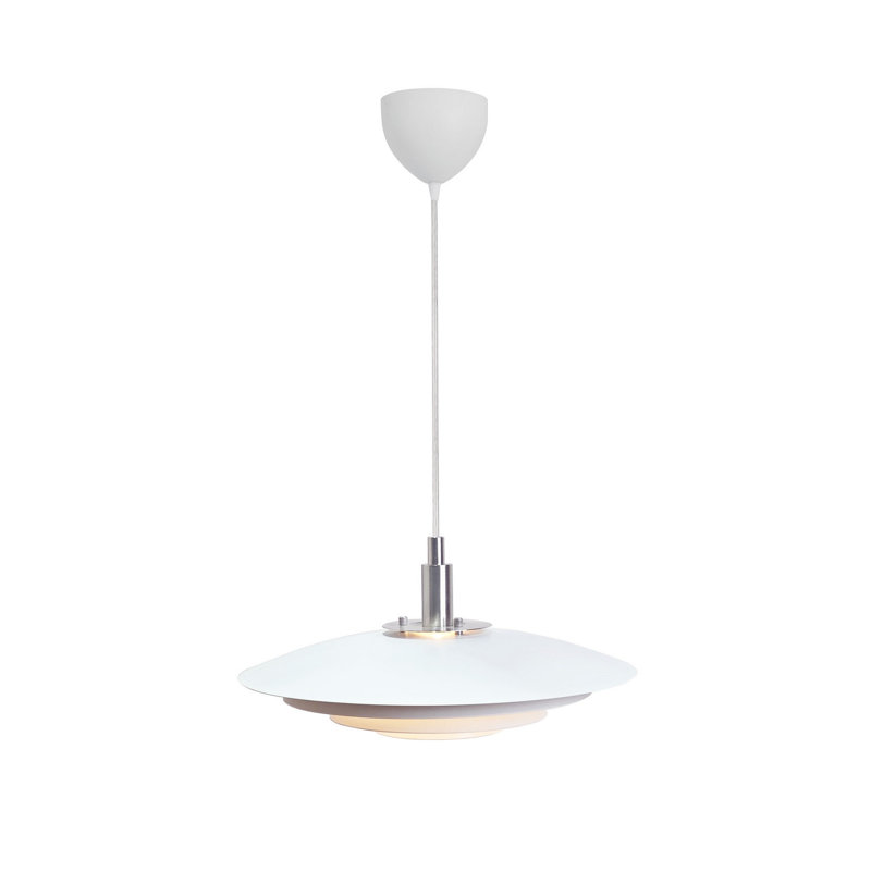 Bicknas 1-Light Novelty Pendant