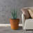 Waitman Pot Planter-1075021822