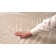 Deonta Floral Beige/Cream Indoor & Outdoor Area Rug