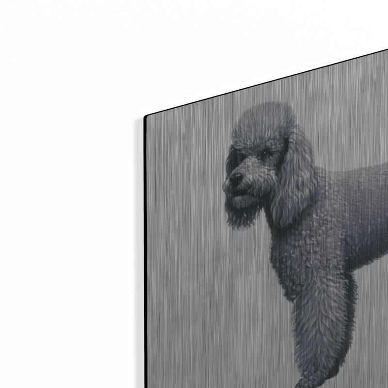 "Caniche" par Harro Maass, H 12 po x l 16 po