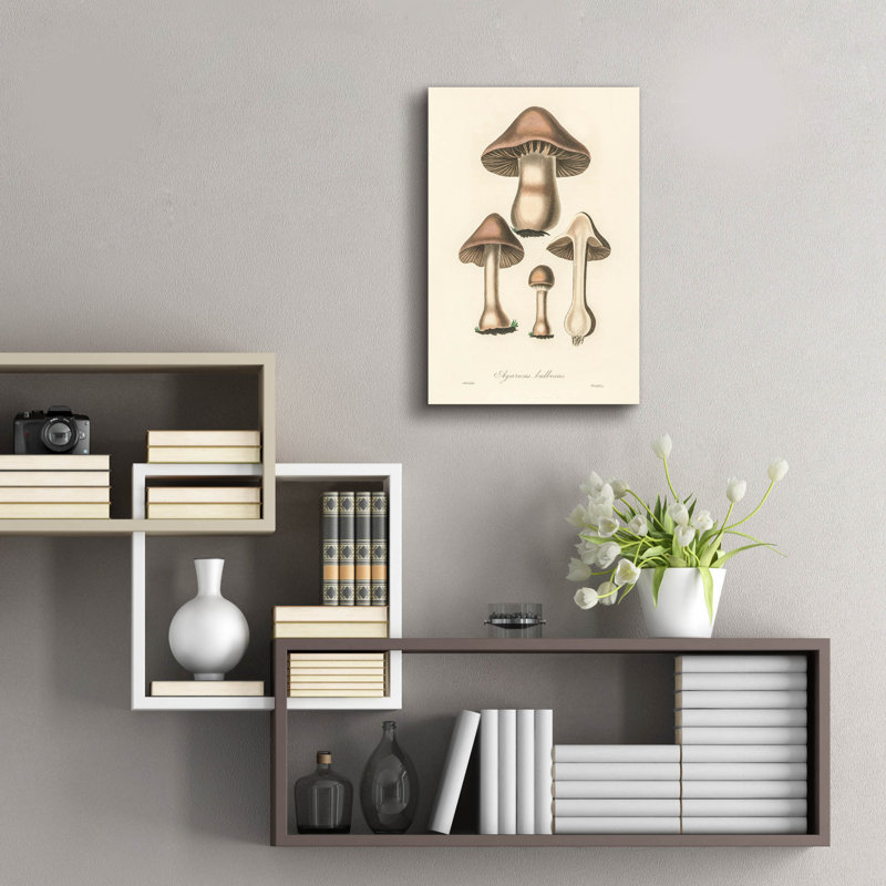  «Agaricus Bullosus» par Art Licensing Studio, art mural en verre acrylique, 16 po x 24 po, H 24 po x l 16 po