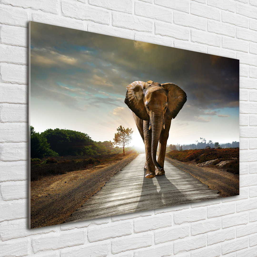 Glasbild Flanierender Elefant